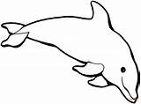 Delfino Dolphin sketch template