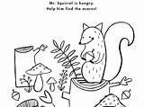 Coloring Squirrel Mr Book Woodland Dribbble sketch template