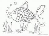 Coloring Fish Pages Colouring Color Kids Drawing Detailed Sheets A4 Summer Animal Printable Sheet Activity Physical Paper Fitness Animals Zoo sketch template