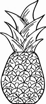 Pineapple Wecoloringpage sketch template