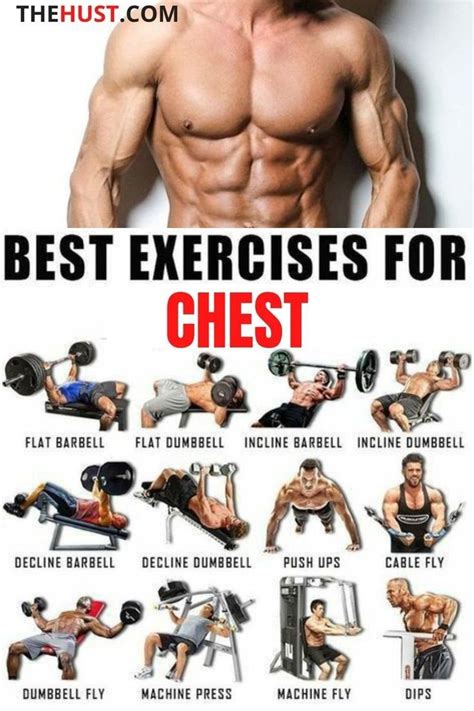 the best exercises for chest workouts are in this poster which shows