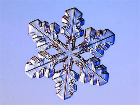 creation productions   snowflake  poem  francis thompson