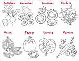 Vegetais Legumes Salade Preschool Celery Outl Puis Coloriez sketch template