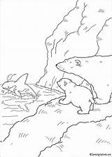 Polar Ijsbeer Lars Kleurplaten Ours Polaire Paisajes Orca Pintar Plume Ursinho Polare Orsetto Osito Piuma Mammals Downloaden Artistico Mariposas Uitprinten sketch template