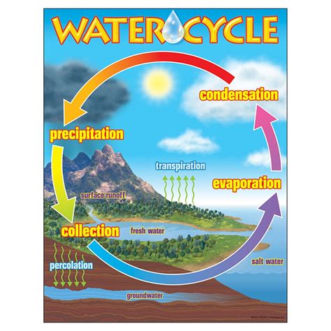 water cycle learning chart      trend enterprises  science