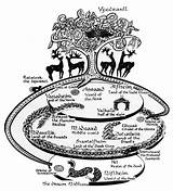 Yggdrasil Norse Mythology Tree Gods Yggdrasill sketch template