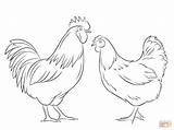 Coloring Hen Rooster Pages Printable sketch template