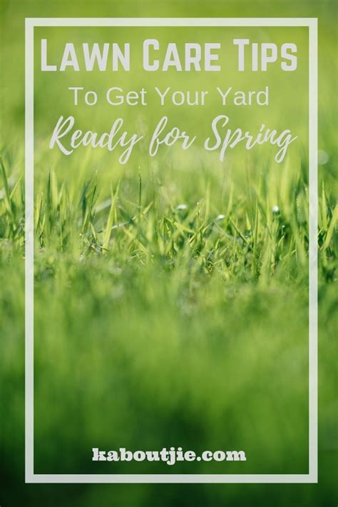 Lawn Care Tips To Get Your Yard Ready For Spring Kaboutjie Lawn