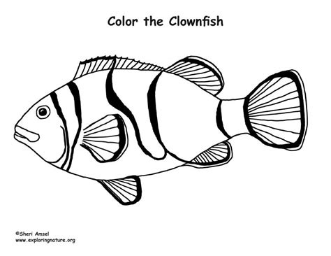 clownfish coloring page