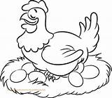 Poule Paques Coq Oeufs Poulet Une Dessiner Buzz2000 Poussins Couve sketch template