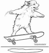 Skateboarding Coloring Pages Dog Printable Diane Degroat Boy Rotner Shelley Cartoon sketch template