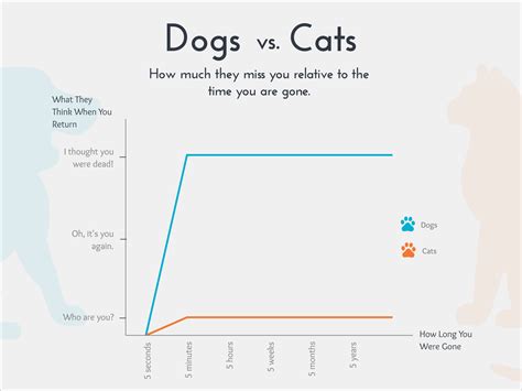funny graphs  perfectly explain everyday life