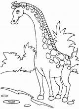 Giraffe Bestappsforkids Stumble sketch template