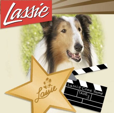 lassie unleashed  dog years  tv bonus abc  rare rewatch classic tv