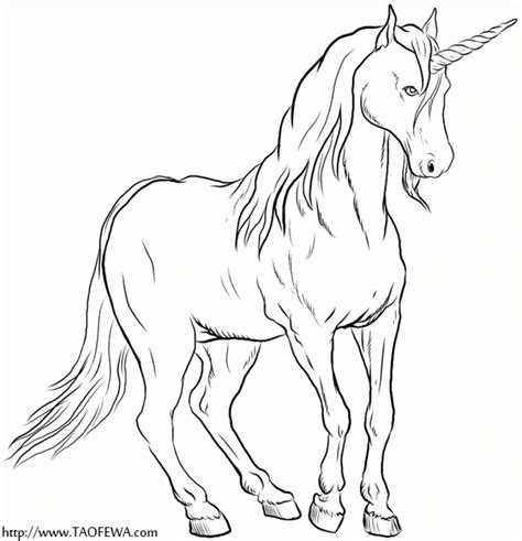 unicorn coloring picture page  kids   adults coloring home