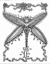Dragonfly Intricate 101coloring sketch template