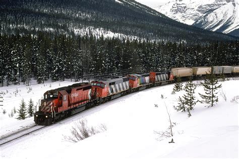 railpicturesca steve young photo    good reason   cn