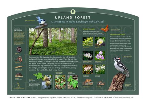 outdoor interpretive nature trail sign  forest woodlands habitat series upland forest