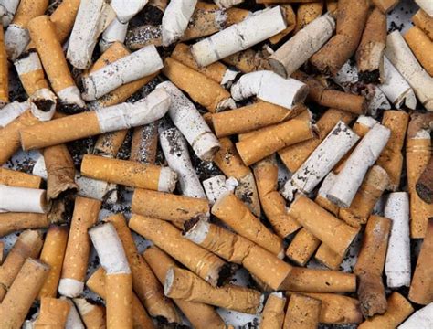 Smoking To Kill Two In Three Australian Smokers