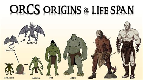 origins biology  life cycle  orcs  middle earth youtube