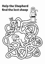 Prep Unit Sheep Lost Maze Blackline Masters Kwl sketch template