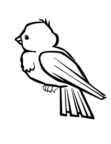 bird coloring pages printable print color craft