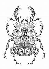 Coloring Zentangle Scarabee Adulte Coloriages Colorare Beetles Insectes Scarabée Insect Gratuit Insecte Disegni Mandalas Sublime Insetti Armadillo 123rf Coloringbay Colorear sketch template