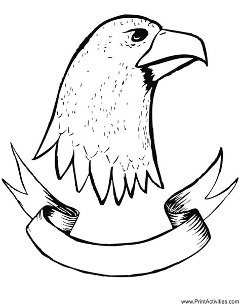 eagle coloring page coloring home