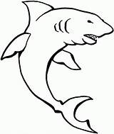 Coloring Pages Printable Sharks Angry Shark Etk Kids Big Related sketch template