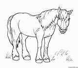 Horse Coloring Pages Toy Walk Horses Print sketch template