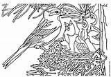 Nest Vogel Nido Malvorlage Oiseau Nid Vogels Uccellino Ausmalbilder Kleurplaten Passero Ausdrucken Gratis Cincia Pettirosso Uccelli Schoolplaten Averla sketch template