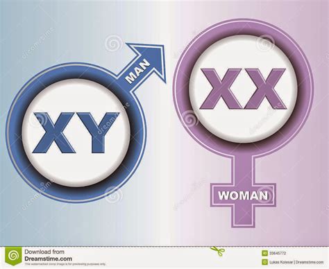 Man And Women Xx Sex Mature Lesbian