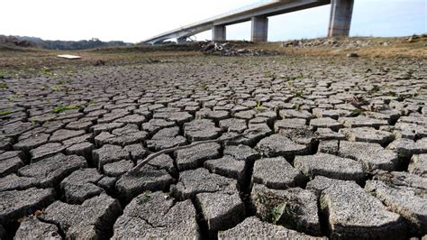 ¿cómo Sobrevivir A Una Sequía Extrema