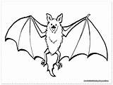 Bat Coloring Pages Realistic Clipart Drawing Fruit Flying Wings Printable Color Halloween Getcolorings Clip Getdrawings Bats Excellent Library Webstockreview Pluto sketch template