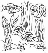 Coloring Underwater Pages Sea Under Scene Ocean Printable Seaweed Colouring Drawing Landscape Sheet Easy Plants Clipart Print Floor Color Animals sketch template