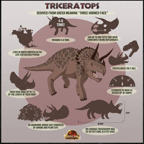 Jurassic Park 3d Dino Chart Triceratops Classic
