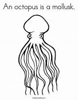 Coloring Mollusk Octopus Violette Est Pieuvre La Arms Has Animal Drawings Twistynoodle Built California Usa Noodle Print Twisty Favorites Login sketch template