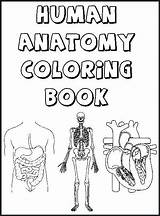 Coloring Pages Cardiovascular System Heart Anatomy Getcolorings Printable Color Physiology sketch template