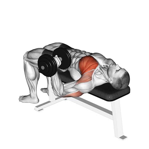 dumbbell chest exercises  bench required inspire