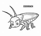Cockroach Roach Roaches sketch template