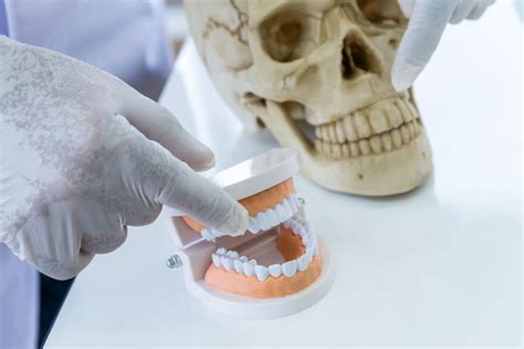exploring famous forensic dentistry cases dentistry review