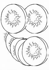 Kiwi Fruit Coloring Books Pages Categories Similar Printable sketch template