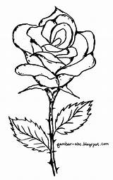 Bunga Mawar Mewarnai Sketsa Putri sketch template