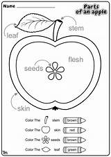 Preschool Apples Printables Lessons Teachersmag Subtracting Unlike Match Homeschool Elise sketch template
