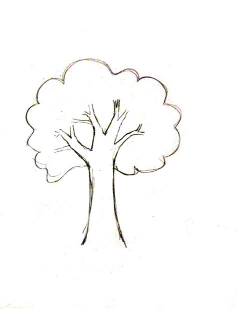 draw  tree