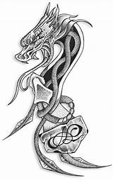 Dragon Tattoos Tattoo Designs Celtic Viking Norse Dragons Tatto Men Patterns Thebodyisacanvas Women Canvas Sleeve Choose Arm Body Calf Muscle sketch template