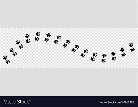 paw print foot trail royalty  vector image