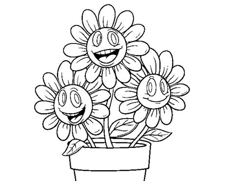 flower pot coloring page coloringcrewcom