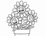 Flower Pot Coloring Pages Sunflower Coloringcrew Spring Flowers sketch template