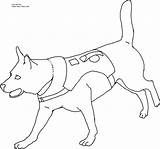 Coloring Dog Pages Police Rescue Search Drawing Color Dogs Alaskan Printable Malamute Collar Kids Clipart Colouring Drawings Sheets Easy Puppy sketch template